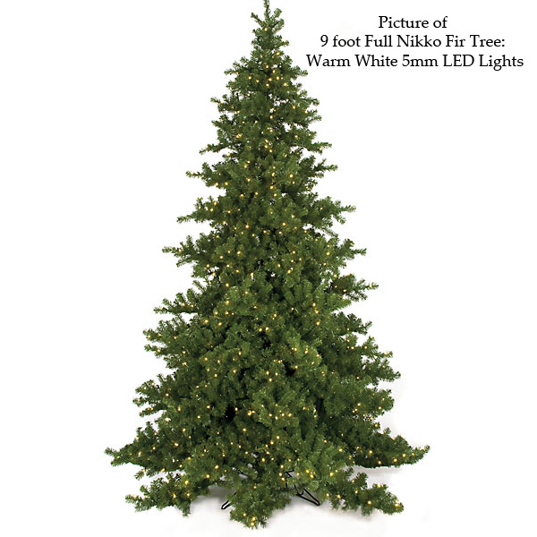 Full Nikko Fluff Free Fir Tree