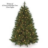 4.5 foot Arolla Pine Tree: Clear Lights
