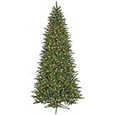 Cambridge Slim Spruce Tree