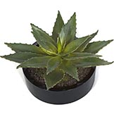 12 inch Potted Artificial Aloe Plant