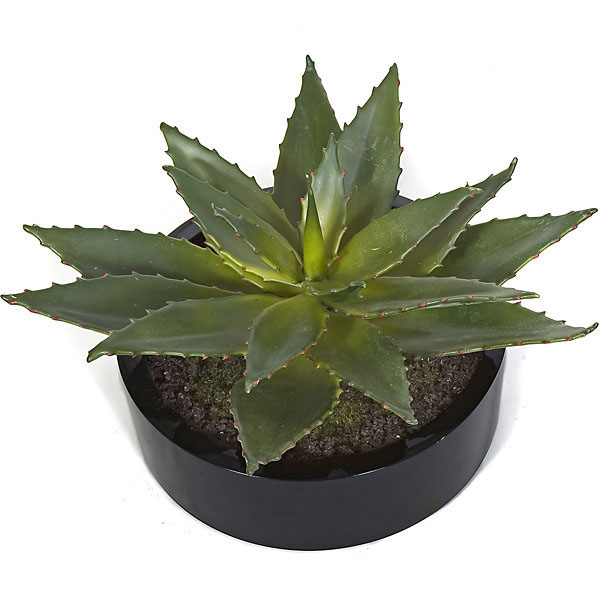 12 Inch Potted Artificial Aloe Plant