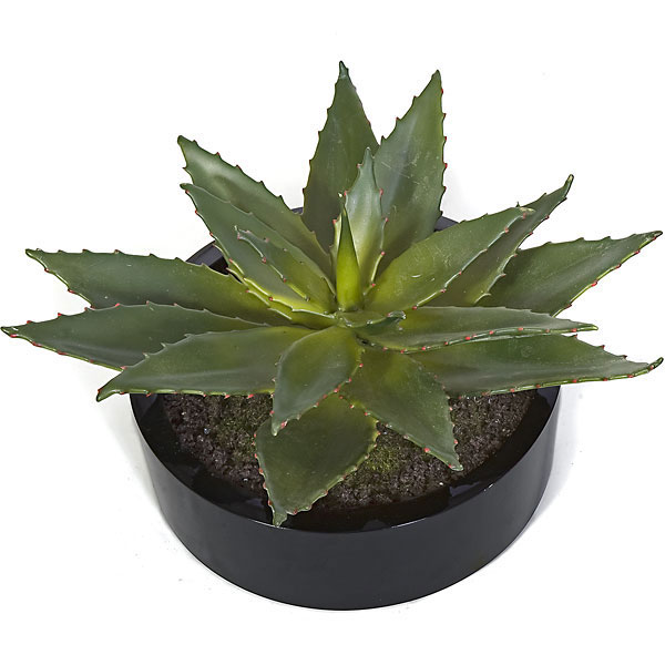 12 inch Potted Artificial Aloe Plant