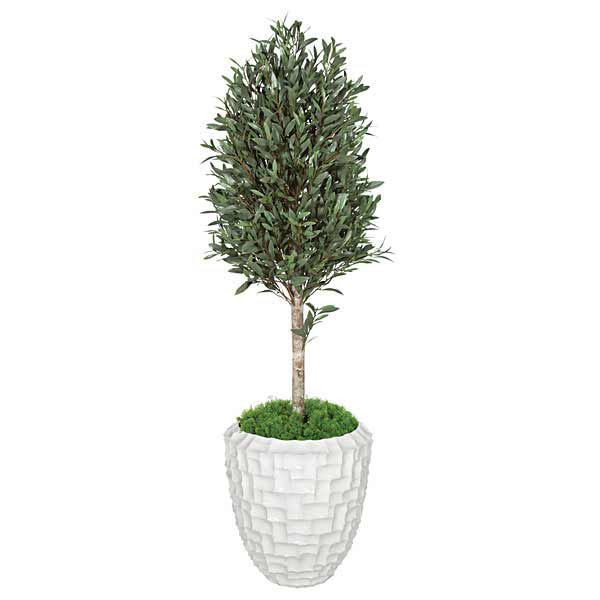 5 Foot Artificial Outdoor Olive Leaf Tree With Natural Trunk: Potted