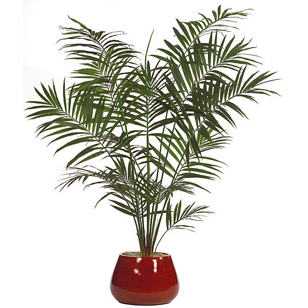 8.5 Foot Artificial Kentia Palm Tree: Potted