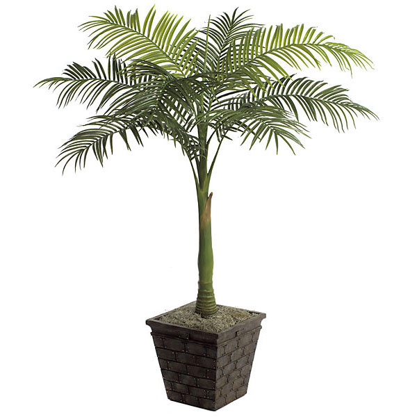 5 foot Silk Areca Palm Tree: Potted