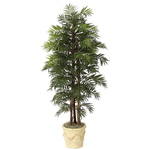 6 foot Artificial Parlour Palm with Natural Trunks: Potted