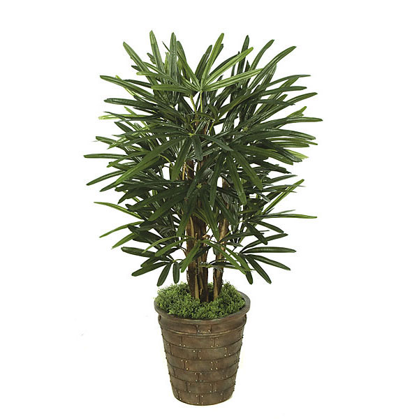 3 Foot Silk Lady Palm Tree: Potted