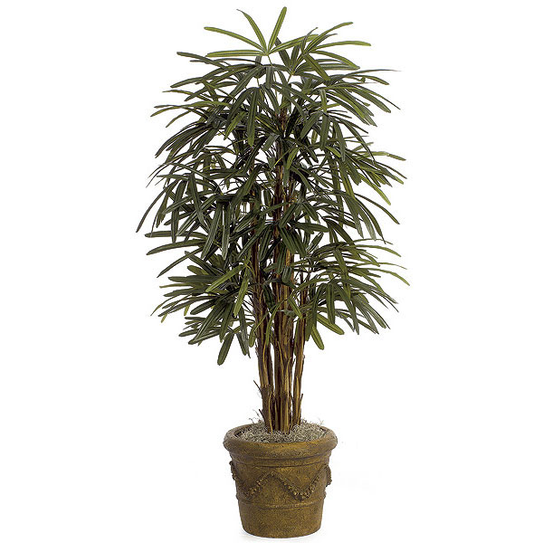 5 foot Silk Lady Palm Tree: Potted