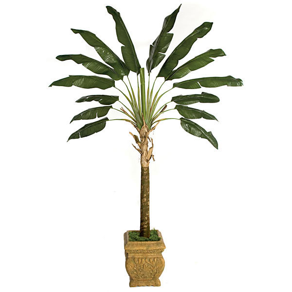 8 foot Artificial Travellers Palm Potted P70332