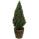 4 foot Artificial Cedar Tree: Potted