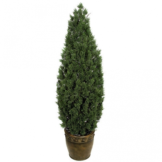 6 foot Artificial Outdoor Cedar Tree: Potted