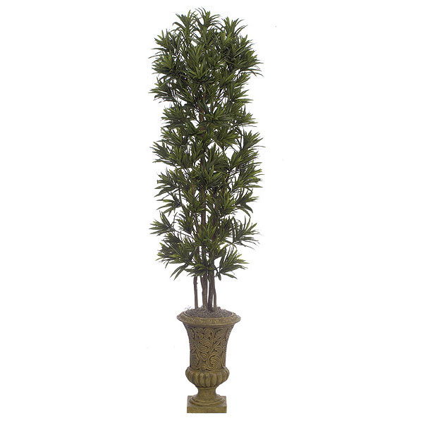 7 foot Silk Green Yellow Dracaena Reflexa Tree with Natural Trunks: Potted