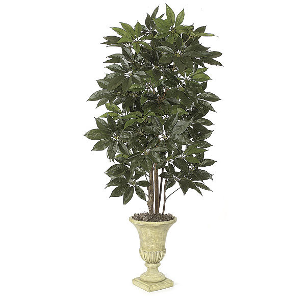 8 Foot Artificial Schefflera Tree With Natural Trunks: Potted