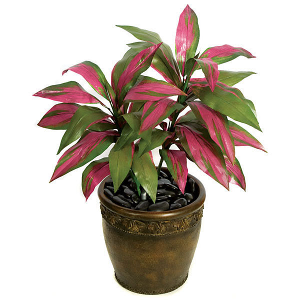 34 Inch Artificial Cordyline Plant: Potted (set Of 2)