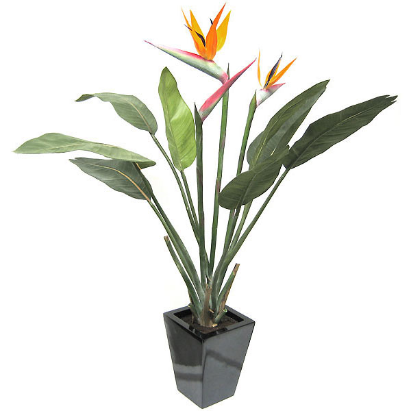 3.5 Foot Artificial Bird Of Paradise: Potted