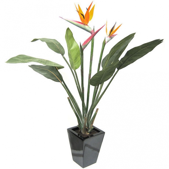 3.5 foot Artificial Bird of Paradise: Potted