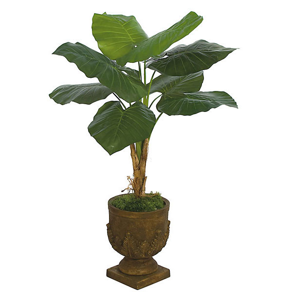 4.5 foot Artificial Caladium Plant Potted P81080