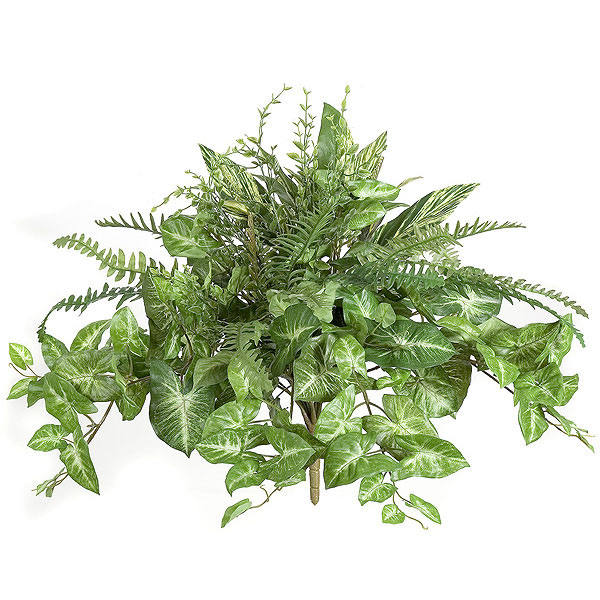 20 inch Mixed Silk Tradescantia, Fern, and Nepthytis Bush: Unpotted