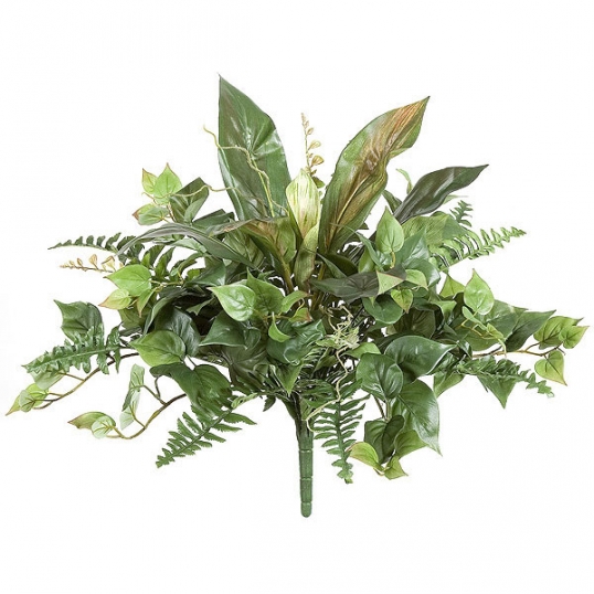 philodendron glad hands variegated Philodendron pedatum 'Glad Hands' 4
