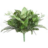 18 inch Mixed Syngonium, Fern, Grass, and Nepthytis Bush: Unpotted