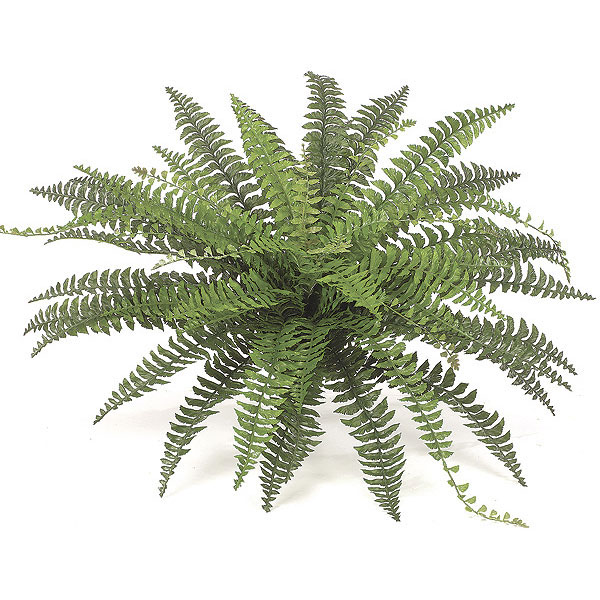 39 Inch Artificial Fishtail Fern: Unpotted