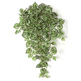 33 inch Artificial Peperomia Vine Bush: Unpotted