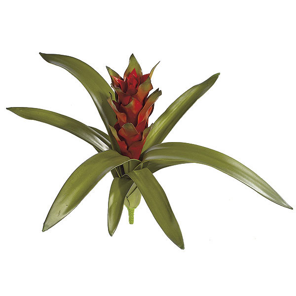 15 Inch Artificial Red Guzmania Bromeliad Plant: Unpotted