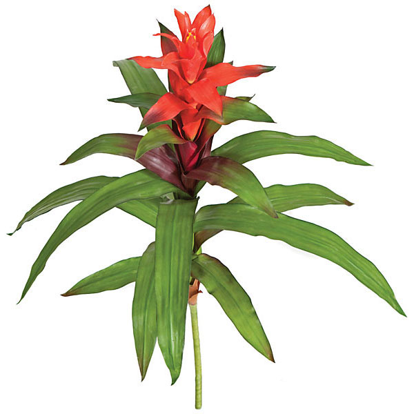 30 Inch Artificial Orange Red Guzmania Bromeliad Plant: Unpotted