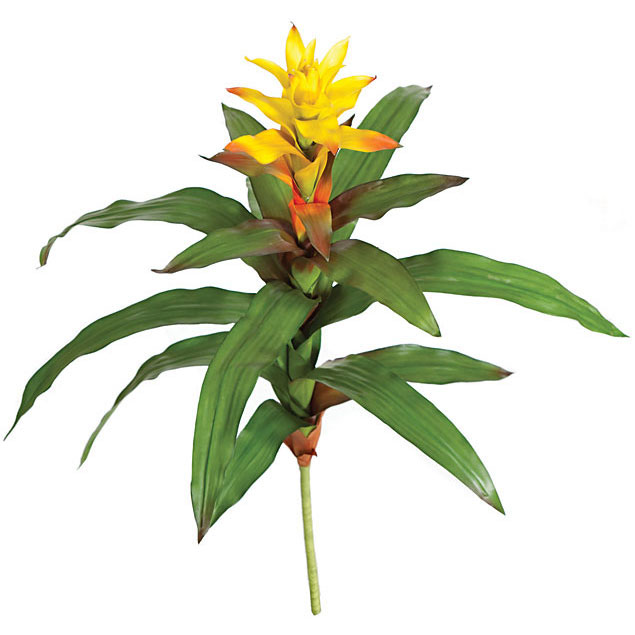 30 Inch Artificial Gold Guzmania Bromeliad Plant: Unpotted