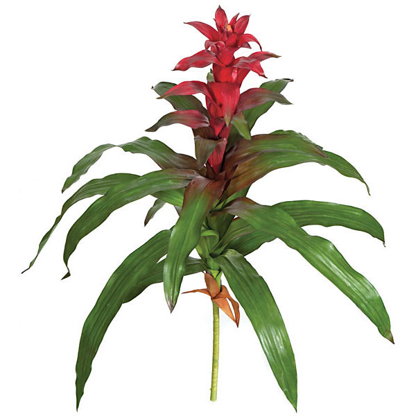 30 Inch Artificial Red Guzmania Bromeliad Plant: Unpotted