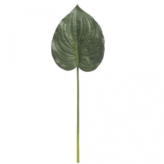 31 inch Artificial Philodendron Leaf (Set of 24) | P-60880
