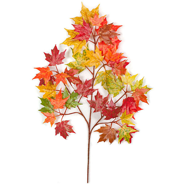 22 inch Red, Yellow, and Green Canadian Maple Branch (Set of 24)
