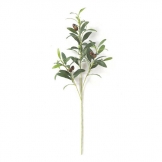 26 inch Artificial Olive Branch with Wine Red/Black Olives (Set of 12) - CLOSEOUT