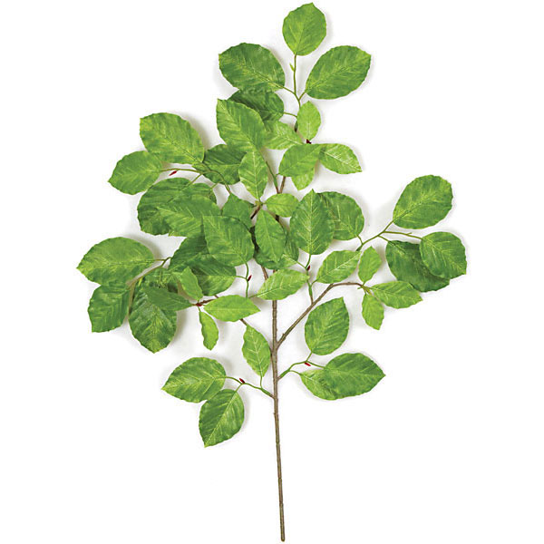 24 Inch Artificial Common Beech Branch (set Of 12)