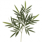 30 inch Bamboo Branch (Set of 12) - CLOSEOUT