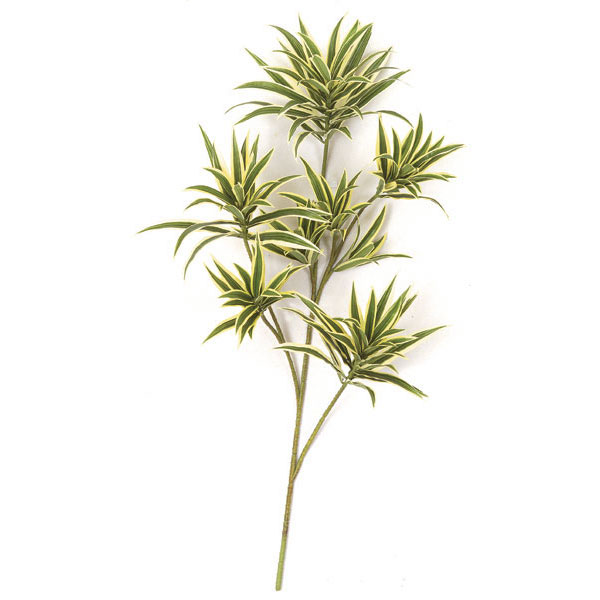 32 inch Green and Yellow Dracaena Reflexa Branch (Set of 12)