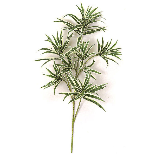 32 inch Green and White Dracaena Reflexa Branch (Set of 12)