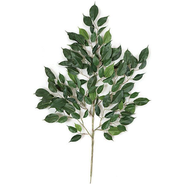 24 Inch Artificial Nitida Ficus Branch (set Of 24)