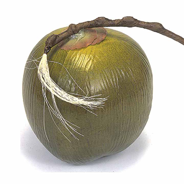 5.5 inch Artificial Coconut (Set of 6)