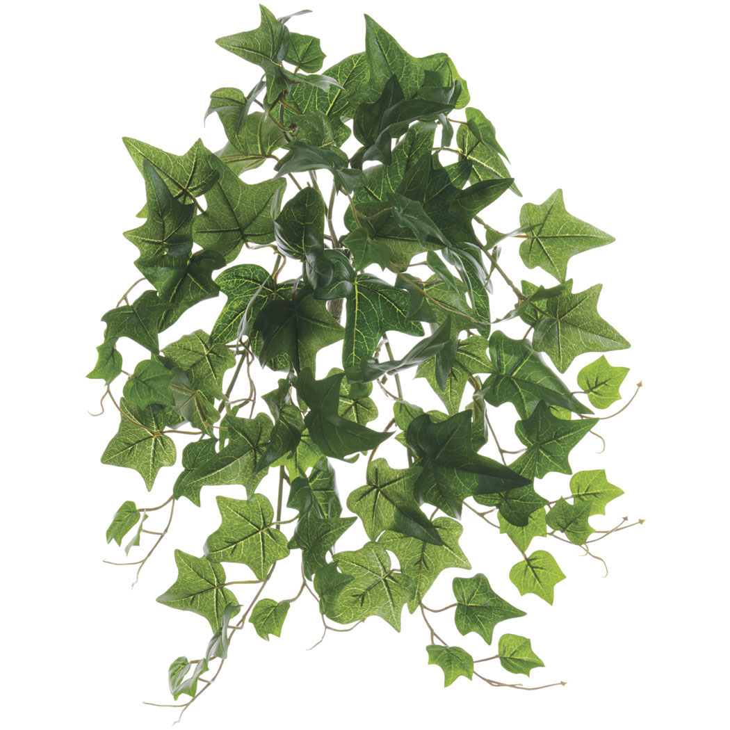 inch Outdoor Green Ivy Bush: Limited UV