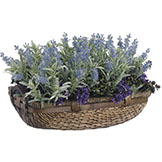 11 inch Mixed Lavender & Rosemary Arrangement in Basket
