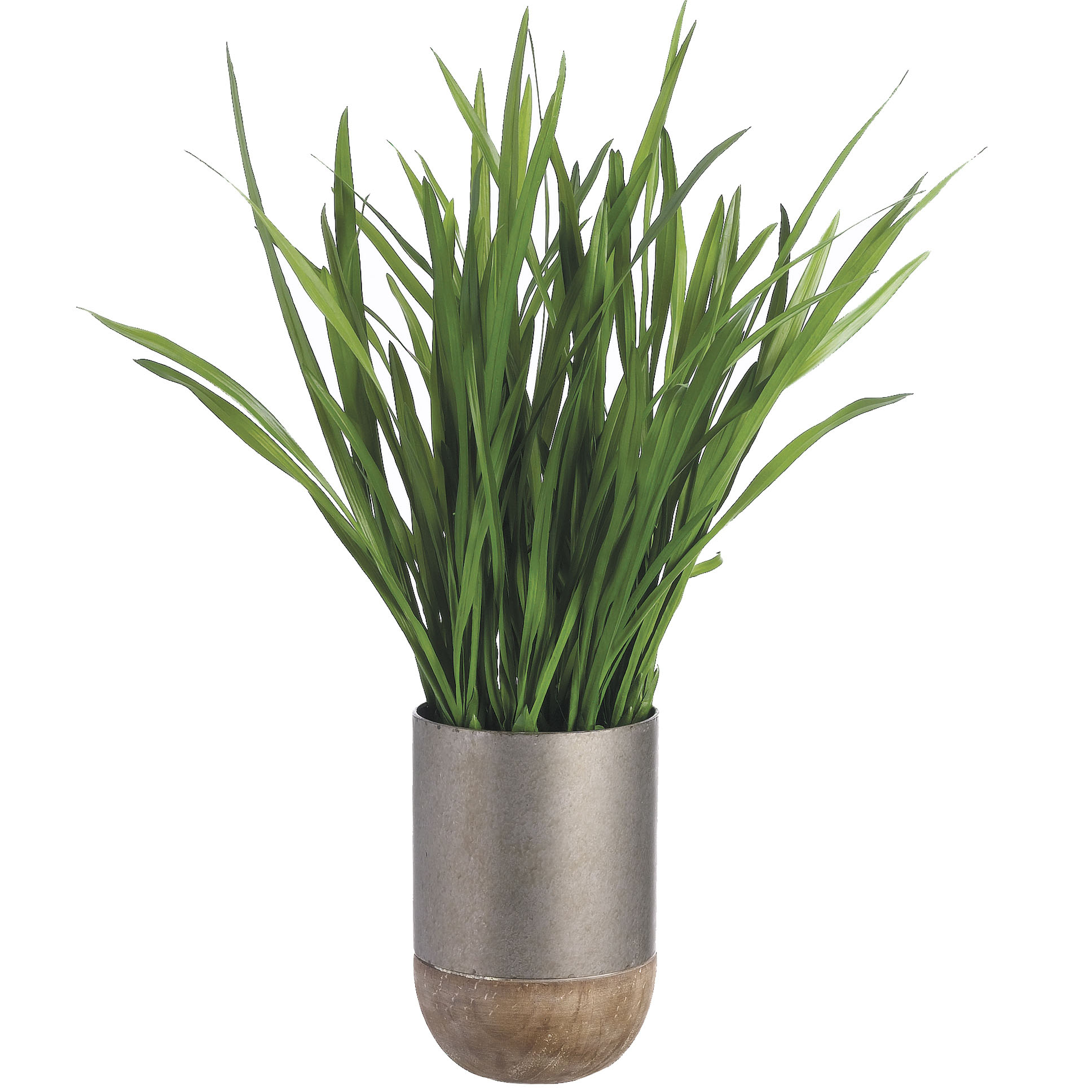 inch Cymbidium Orchid Foliage Iron/Wood Planter