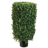 30 inch Rectangular Boxwood Topiary: Potted
