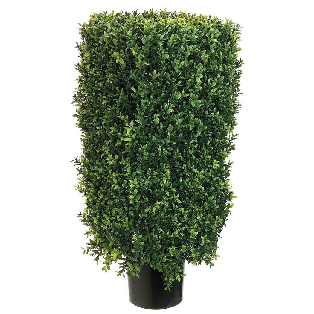30 inch Rectangular Boxwood Topiary: Potted