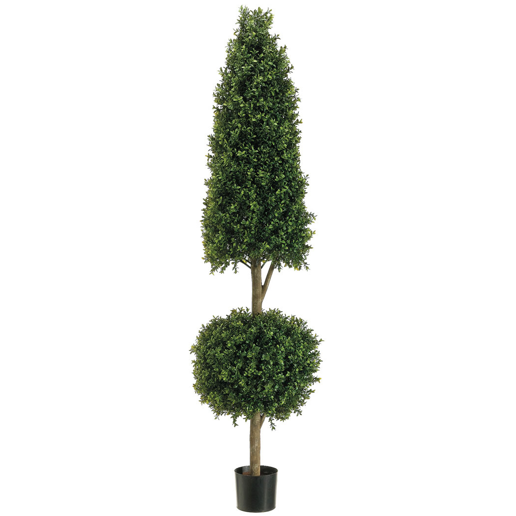 6 foot Cone and Ball Boxwood Topiary: Limited UV