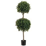 4 foot Outdoor Double Ball Boxwood Topiary: Potted