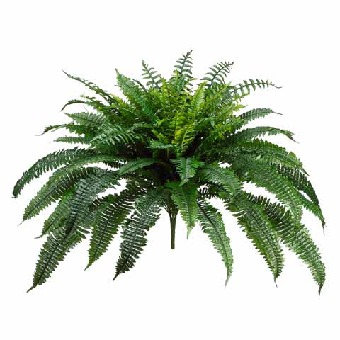 https://www.artificialplantsandtrees.com/mm5/graphics/00000002/ALL1200-ZM-1.jpg