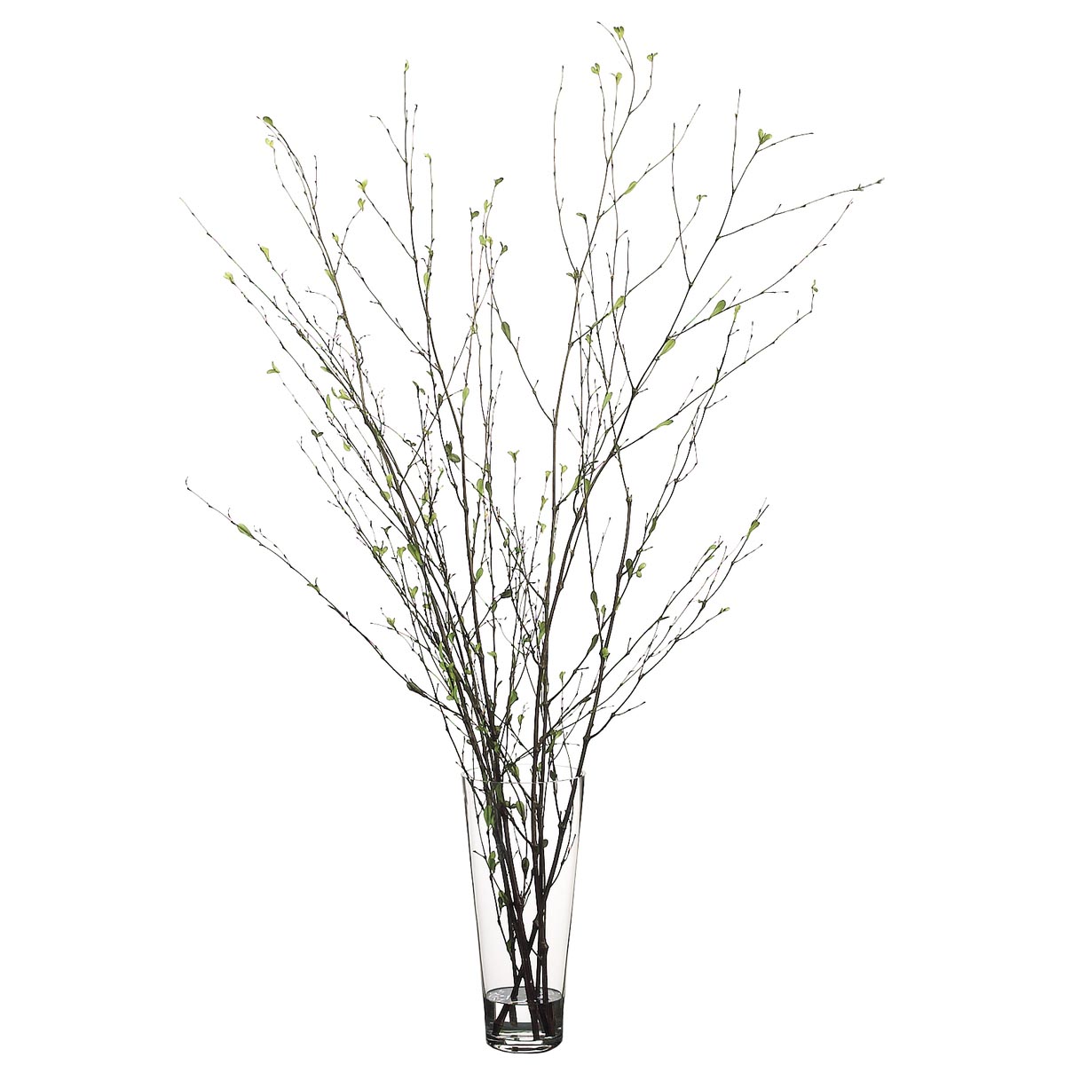 52 inch Branch Arrangement in Glass Vase - ALL1205 - Decor Large tables and ledges require a large floral dis sku ALL1205