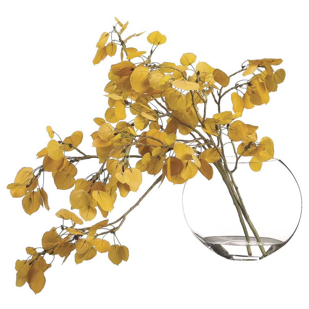 24 Inch Aspen Leaf Spray In Glass Vase