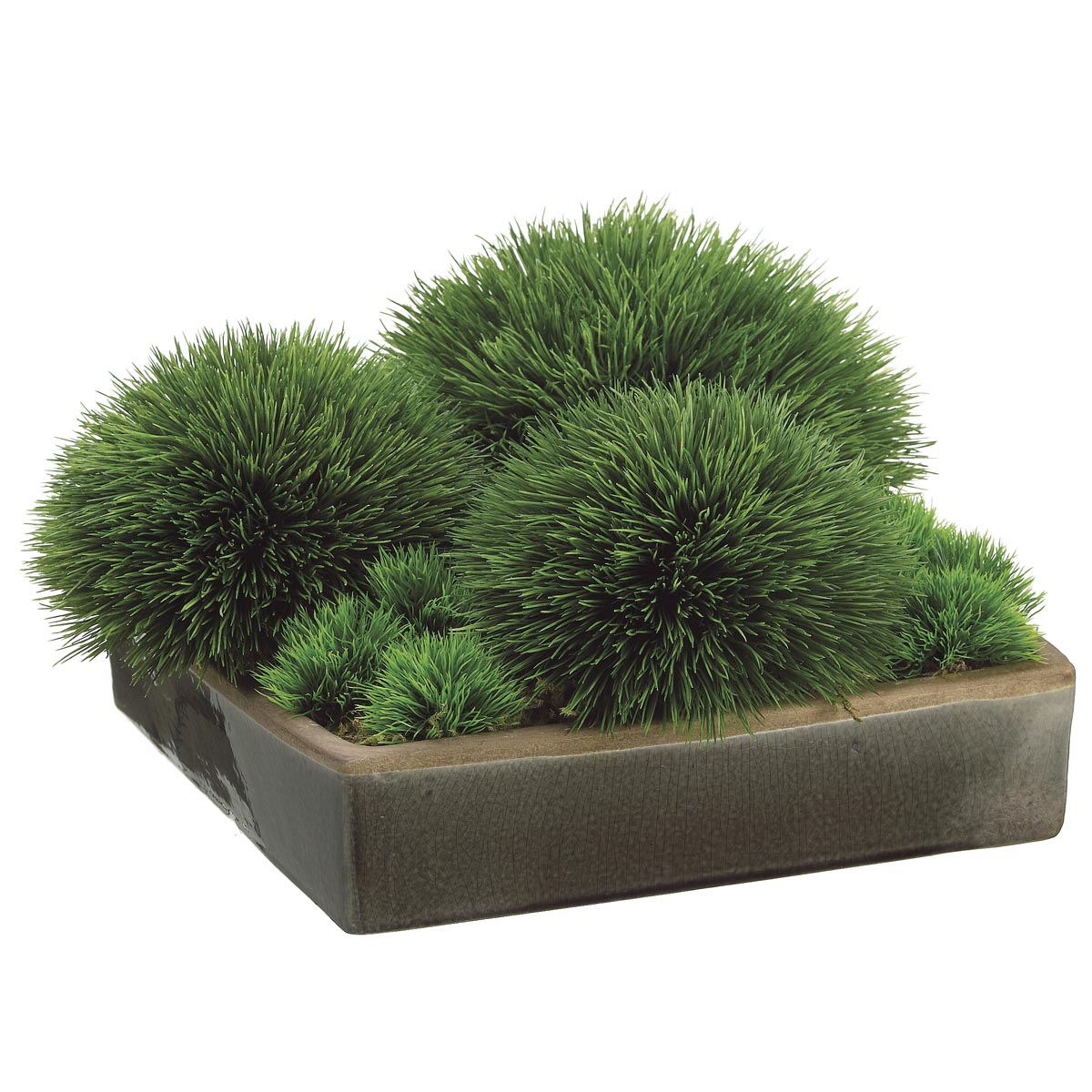 8 Inch Pine Grass In Ceramic Container